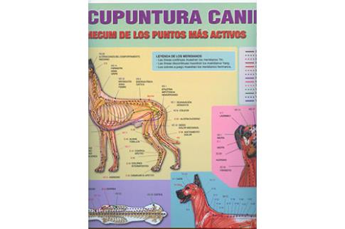 POSTALES Y POSTERS | PSTER ACUPUNTURA CANINA: VADEMECUM DE LOS PUNTOS MS ACTIVOS