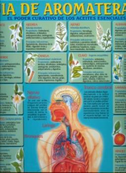POSTALES Y POSTERS | PSTER GUA DE AROMATERAPIA