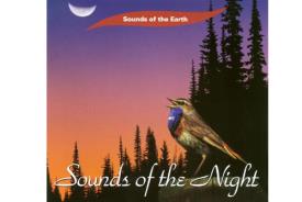 CD MUSICA | CD MUSICA SOUNDS OF THE NIGHT (PURE MUSIC, NO VOICES OR MUSIC ADDED)