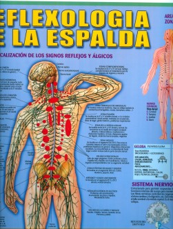 Reflexologia online de espalda