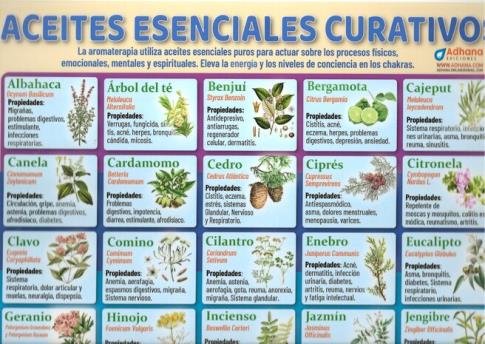 POSTALES Y POSTERS | ACEITES ESENCIALES CURATIVOS (P�ster)