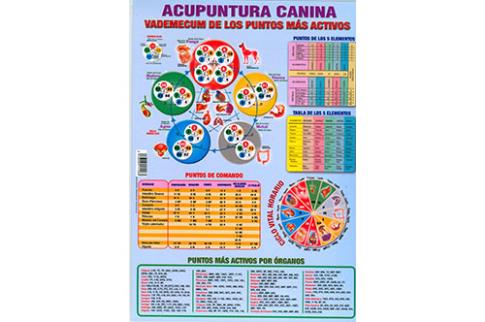 POSTALES Y POSTERS | ACUPUNTURA CANINA: VADEMECUM DE LOS PUNTOS MS ACTIVOS (Lmina doble cara)