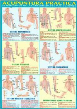 POSTALES Y POSTERS | ACUPUNTURA PRCTICA (Lmina doble cara)