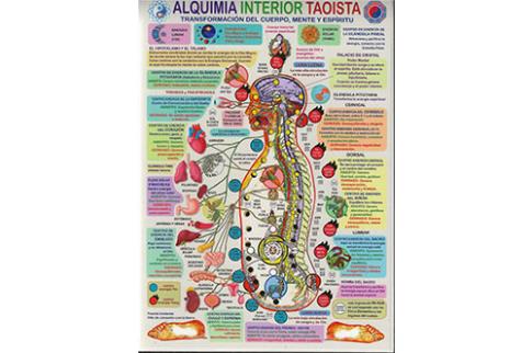 POSTALES Y POSTERS | ALQUIMIA INTERIOR TAOSTA (Lmina doble cara)