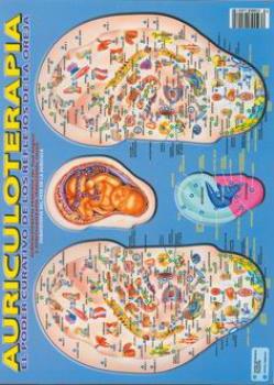 POSTALES Y POSTERS | AURICULOTERAPIA (Lmina doble cara)
