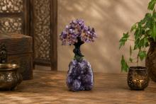 BONSAI AMATISTA SOBRE DRUSA DE AMATISTA 20X10CM. BONSAI AMATISTA SOBRE DRUSA DE AMATISTA 20X10CM.