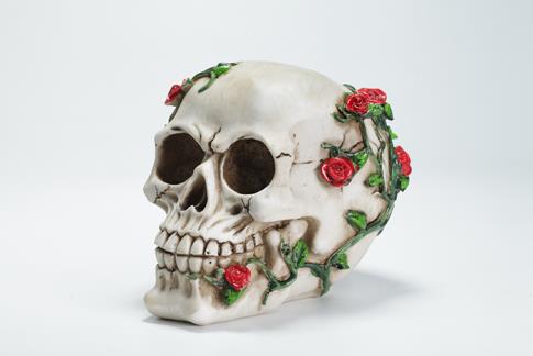 HADAS, BRUJAS Y FANTAS�A | CALAVERA CON DECORACI�N FLORAL: MENOS MALAS VIBRAS, M�S MAGIA ANCESTRAL. 10X11CM