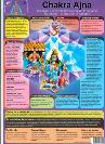 CHAKRA 6 AJNA (Lmina doble cara)
