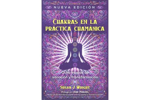 LIBROS DE CHAKRAS | CHAKRAS EN LA PRCTICA CHAMNICA: OCHO ETAPAS DE SANACIN Y TRANSFORMACIN