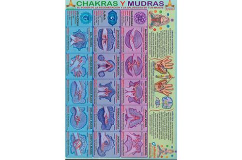 POSTALES Y POSTERS | CHAKRAS Y MUDRAS (Lmina doble cara)