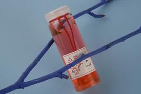 ACEITES PARA RITUAL | COLONIA DE CORAL. Potenciador del amor (15ml).