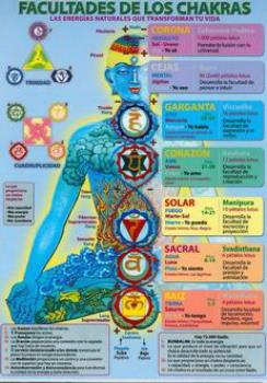 POSTALES Y POSTERS | FACULTADES DE LOS CHAKRAS (Lmina doble cara)