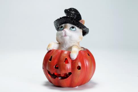 HADAS, BRUJAS Y FANTASA | FIGURA GATITO CON SOMBRERO DE BRUJA SOBRE CALABAZA CON LUZ LED 14X10CM