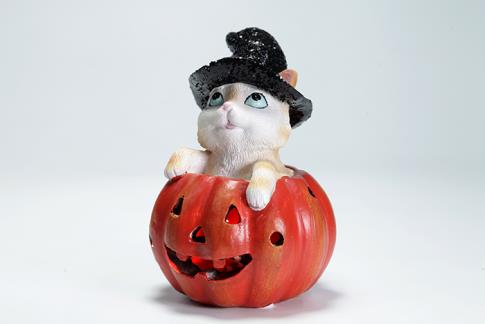 HADAS, BRUJAS Y FANTAS�A | GATITO BRUJO EN CALABAZA CON LUZ LED: DECORACI�N M�GICA PARA HALLOWEEN 14X10CM