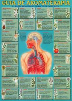 POSTALES Y POSTERS | GUA DE AROMATERAPIA (Lmina doble cara)