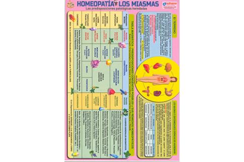 POSTALES Y POSTERS | HOMEOPATA: LOS MIASMAS (Lmina doble cara)