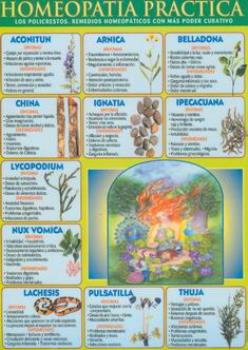 POSTALES Y POSTERS | HOMEOPATA PRCTICA (Lmina doble cara)