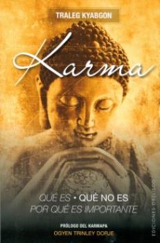 LIBROS DE MUERTE, REENCARNACIN Y VIDAS PASADAS | KARMA: QU ES, QU NO ES, POR QU ES IMPORTANTE