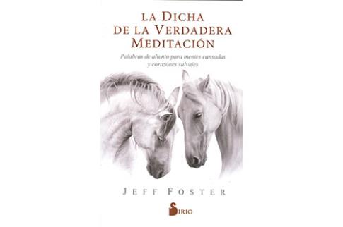LIBROS DE MEDITACIN | LA DICHA DE LA VERDADERA MEDITACIN