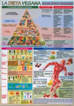 POSTALES Y POSTERS | LA DIETA VEGANA (Lmina doble cara)