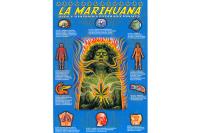 LA MARIHUANA (L�mina doble cara)