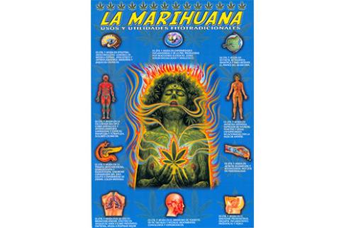 POSTALES Y POSTERS | LA MARIHUANA (Lmina doble cara)