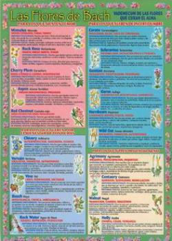 POSTALES Y POSTERS | LAS FLORES DE BACH (Lmina doble cara)