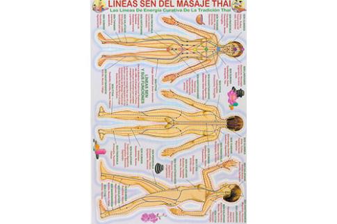 POSTALES Y POSTERS | LNEAS SEN DEL MASAJE THAI (Lmina doble cara)
