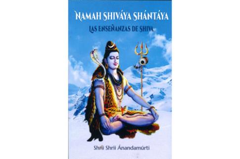 LIBROS DE HINDUISMO | NAMAH SHIVYA SHNTYA: LAS ENSEANZAS DE SHIVA
