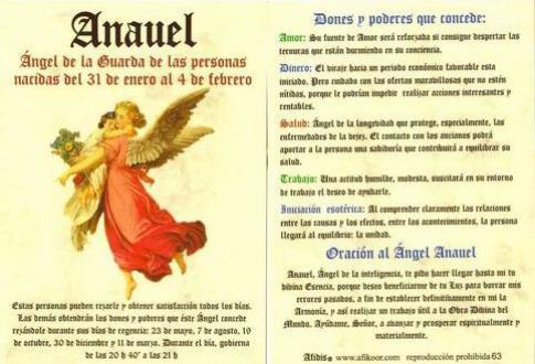 POSTALES Y POSTERS | POSTAL NGEL ANAUEL 31 ENERO AL 4 FEBRERO (N 63).