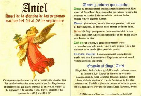 POSTALES Y POSTERS | POSTAL NGEL ANIEL 24 AL 28 SEPTIEMBRE (N 37).