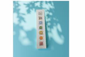 MINERALES Y GEMAS | POSTER CHAKRAS VERTICAL 21X90 CM.