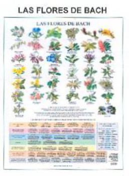 POSTALES Y POSTERS | PSTER LAS FLORES DE BACH
