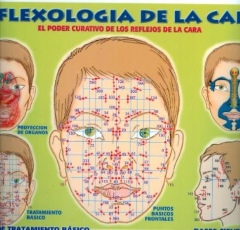 POSTALES Y POSTERS | PSTER REFLEXOLOGA DE LA CARA