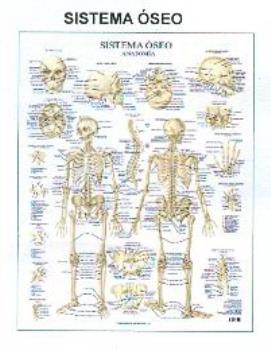 POSTALES Y POSTERS | PSTER SISTEMA SEO