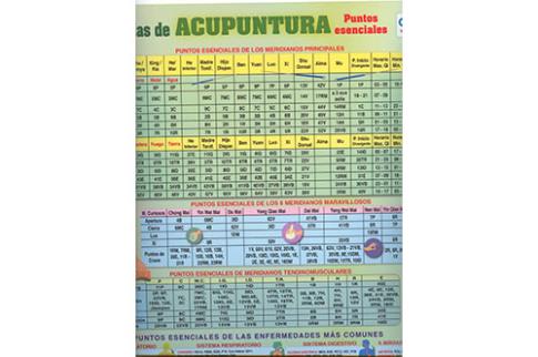 POSTALES Y POSTERS | PSTER TABLAS DE ACUPUNTURA