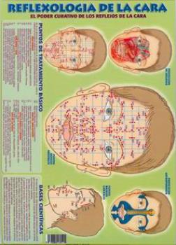 POSTALES Y POSTERS | REFLEXOLOGA DE LA CARA (Lmina doble cara)