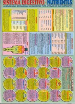 POSTALES Y POSTERS | SISTEMA DIGESTIVO - NUTRIENTES (Lmina doble cara)