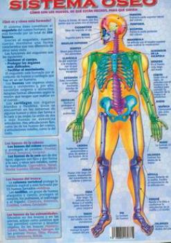 POSTALES Y POSTERS | SISTEMA SEO (Lmina doble cara)