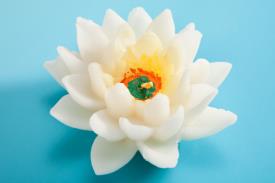 FIGURAS DE CERA | VELA FIGURA FLOR DE LOTO 8.5 X 4 CM.